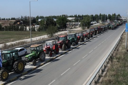 agrotes