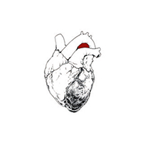 album-swans