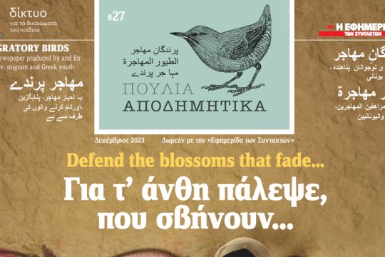 αποδημητικά πουλιά