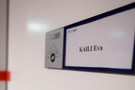 Qatargate, Εύα Καϊλή