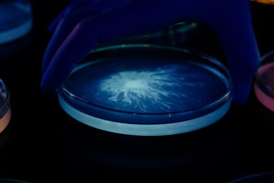 image_microbiome_l-oreal