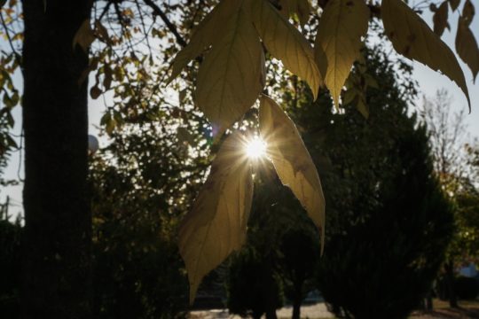 καλοκαιρία, ήλιος