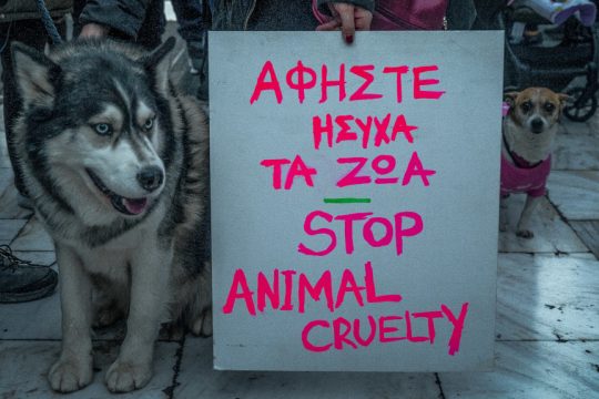 Όλιβερ - κινητοποίηση