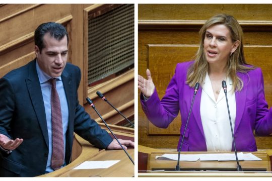 Θάνος Πλεύρης, Ζωή Ράπτη