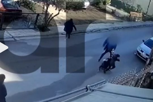 επίθεση σκύλου σε παιδί