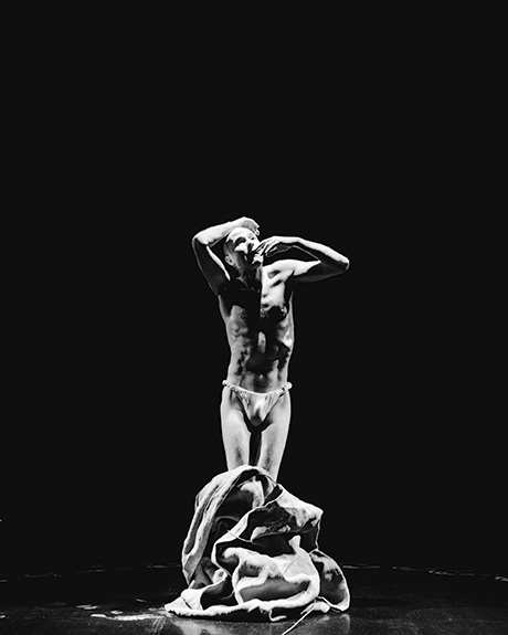 the-false-david