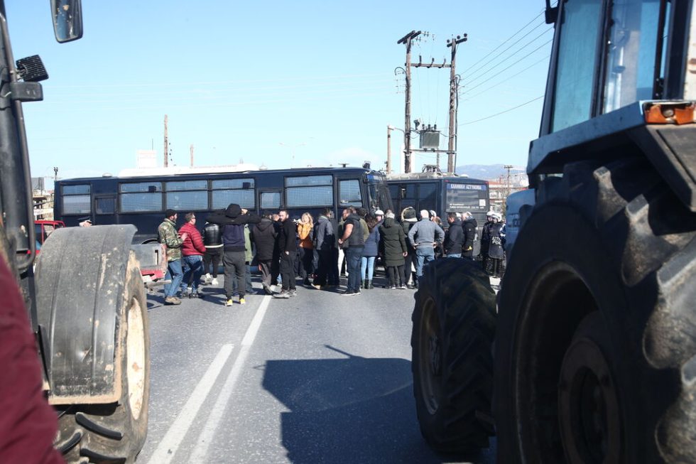 agrotes makedonia