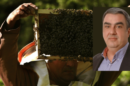 Πασχάλης Χριστοδούλου