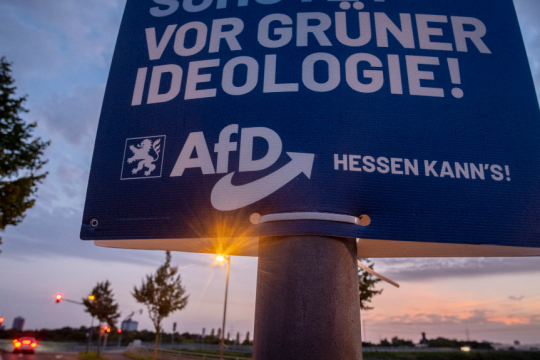 Προεκλογική αφίσα του AfD