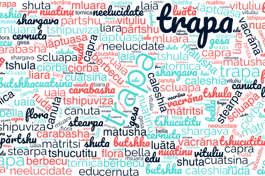 Λέξεις στη βλάχικη γλώσσα