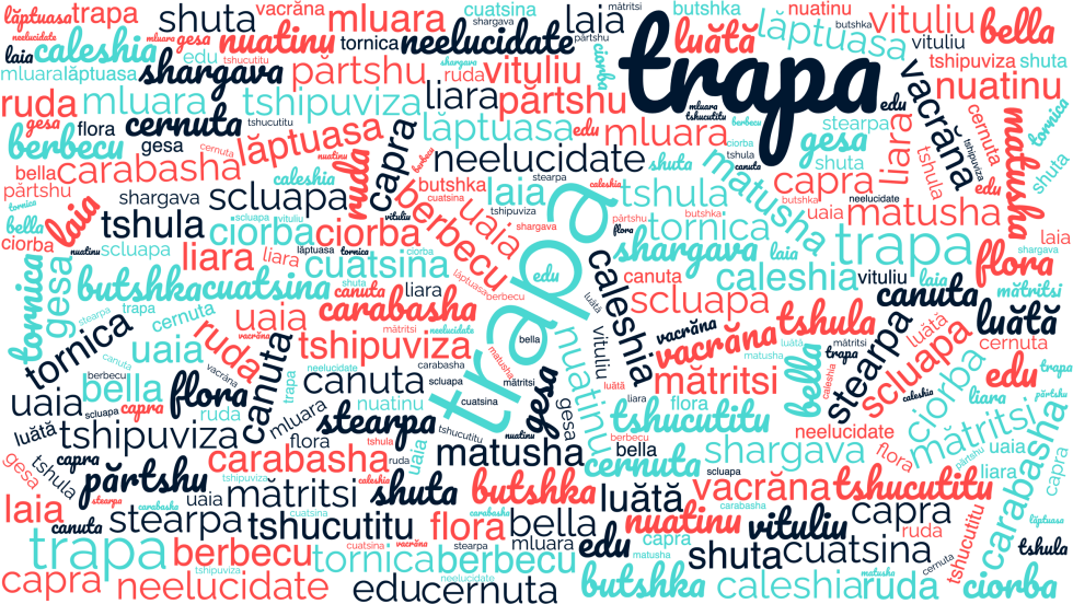 Λέξεις στη βλάχικη γλώσσα