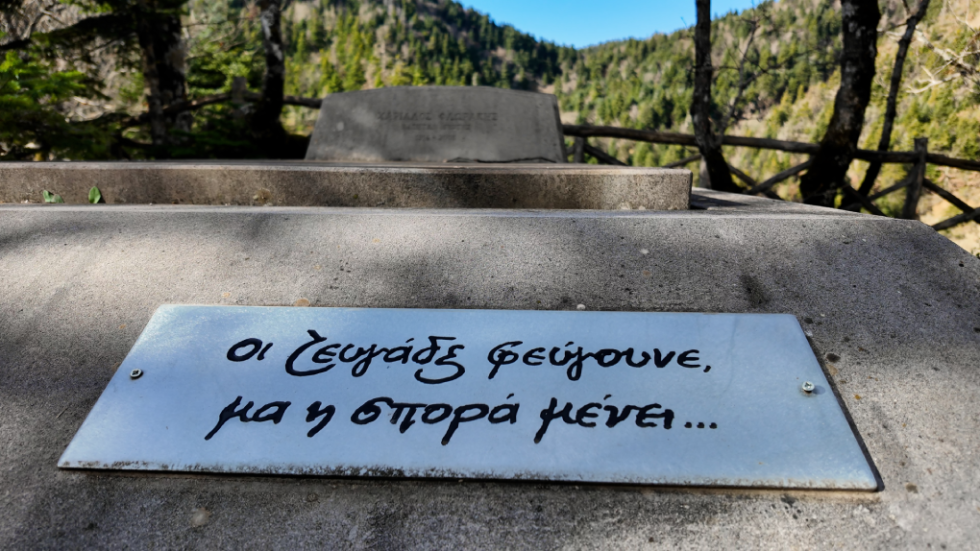 UPStories
