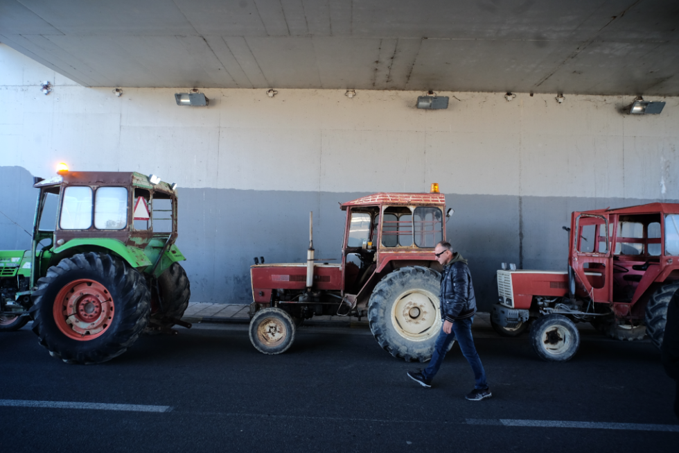 agrotes