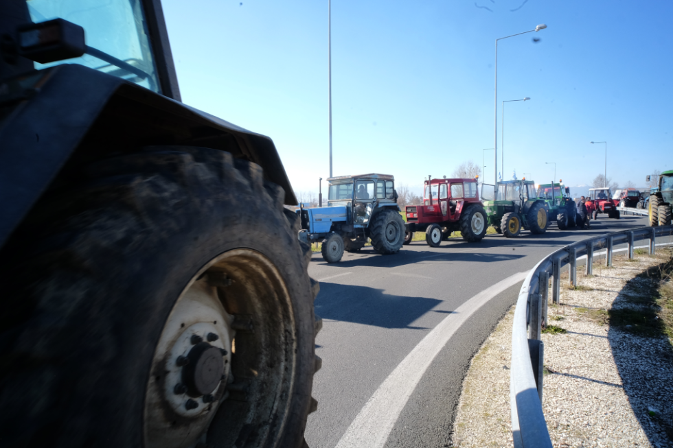 agrotes