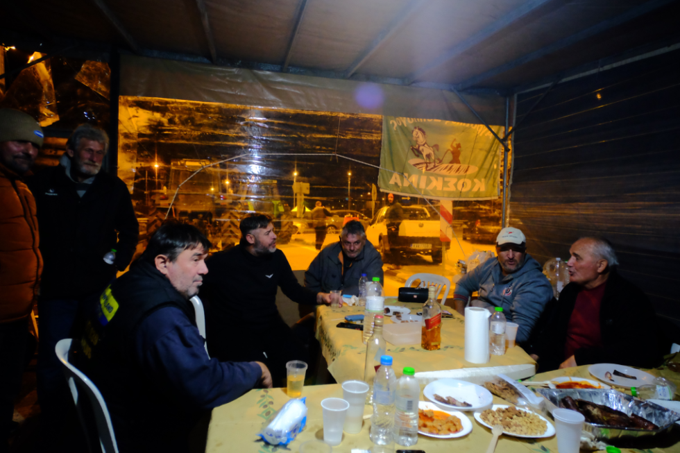 agrotes