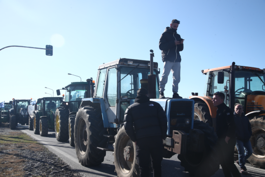 agrotes