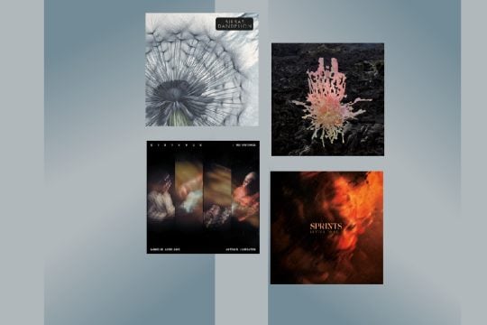 albums