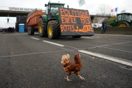France Farmers