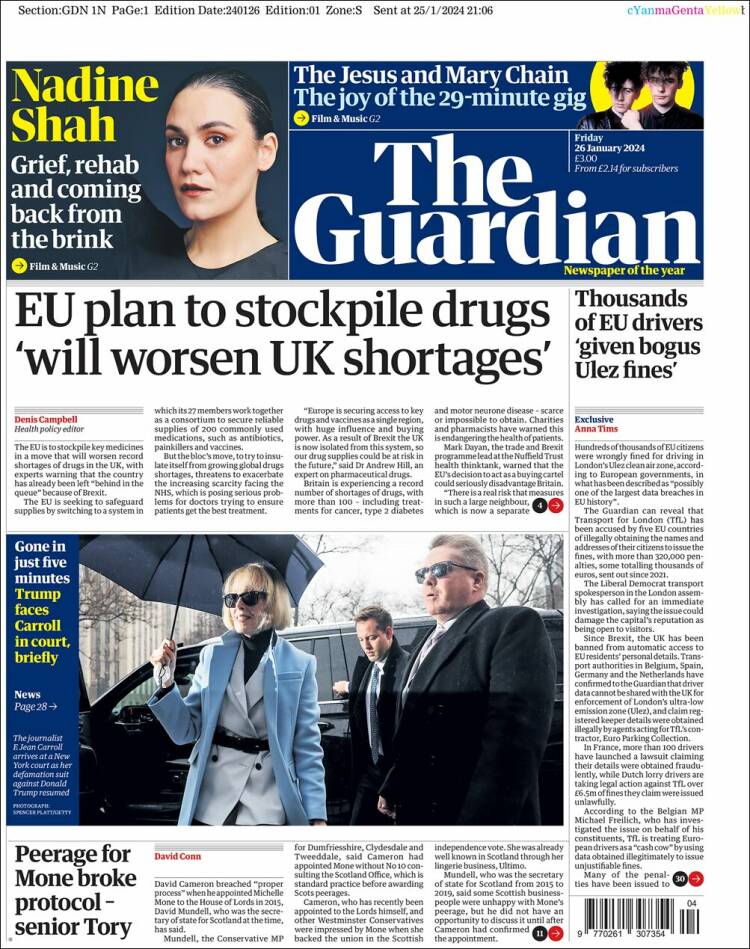 the guardian