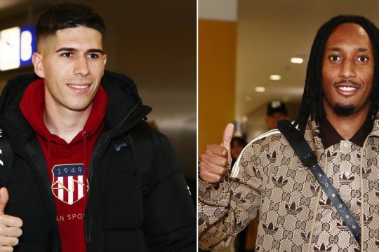 navaro-martins