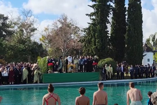 Περιστέρι - Άδωνις