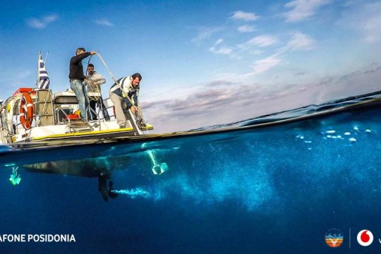 vodafone_posidonia