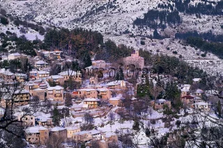 xoria