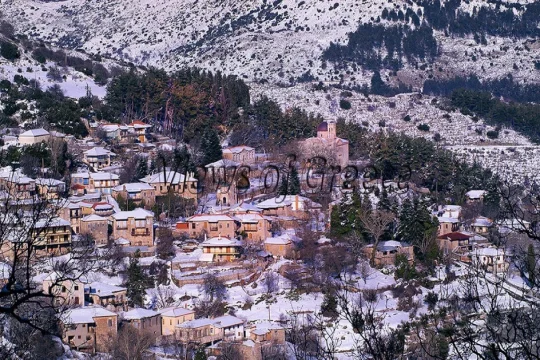 xoria