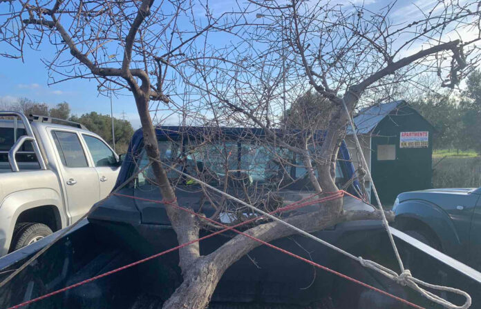 Καμένα ελαιόδεντρα σε αγροτικά οχήματα στην Αλεξανδρούπολη