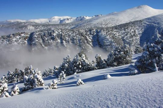 Borovets