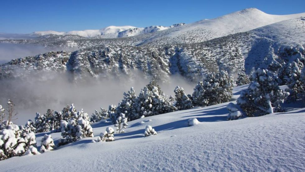 Borovets