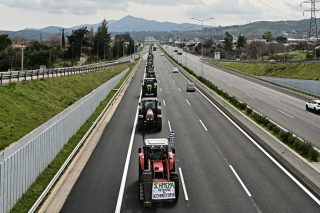 agrotes