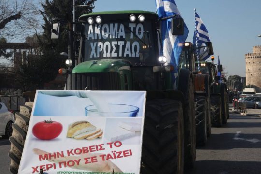 agrotes