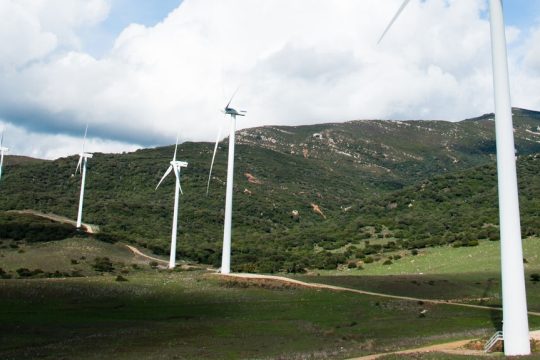 anemogennitries