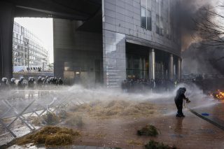 brussels-agrotes