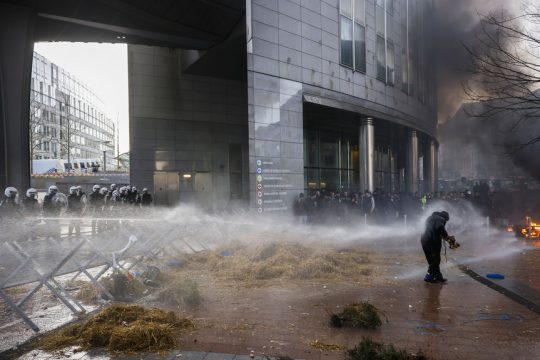 brussels-agrotes