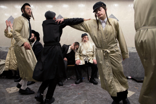 haredi