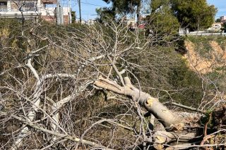 rafina-dentra