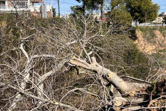 rafina-dentra