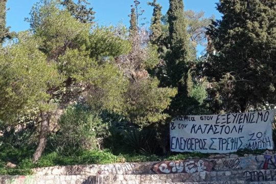 Δέντρα