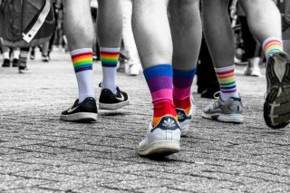 LGBTq