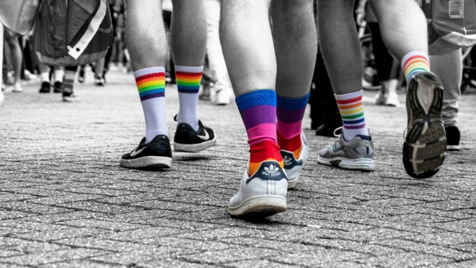 LGBTq