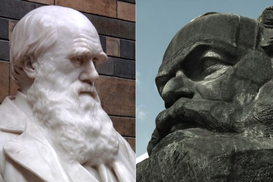 darvinos-marx