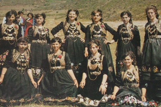 gynaikes-vlasti