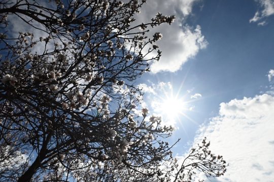 Τέλος το πρωτομαγιάτικο κρύο, βελτιώνεται ο καιρός - Η πρόγνωση Καλλιάνου