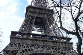 parisi