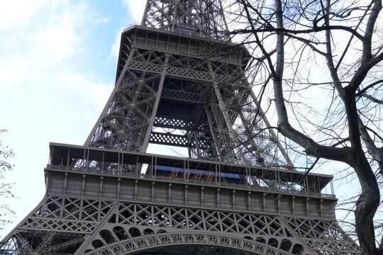 parisi