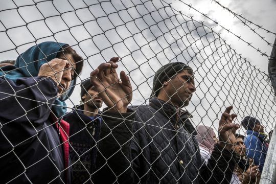 prosfyges