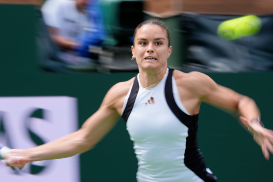 sakkari