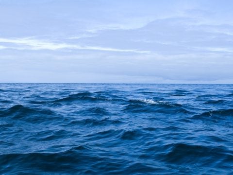 Θρίλερ στη θάλασσα: Τρία πτώματα σε προχωρημένη σήψη σε Τήλο, Κω και Κατερίνη